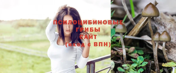 герыч Осташков