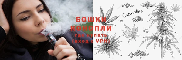 MESCALINE Аркадак